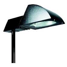 alcione.jpg (4449 byte)