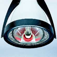 amoroma.jpg (8289 byte)